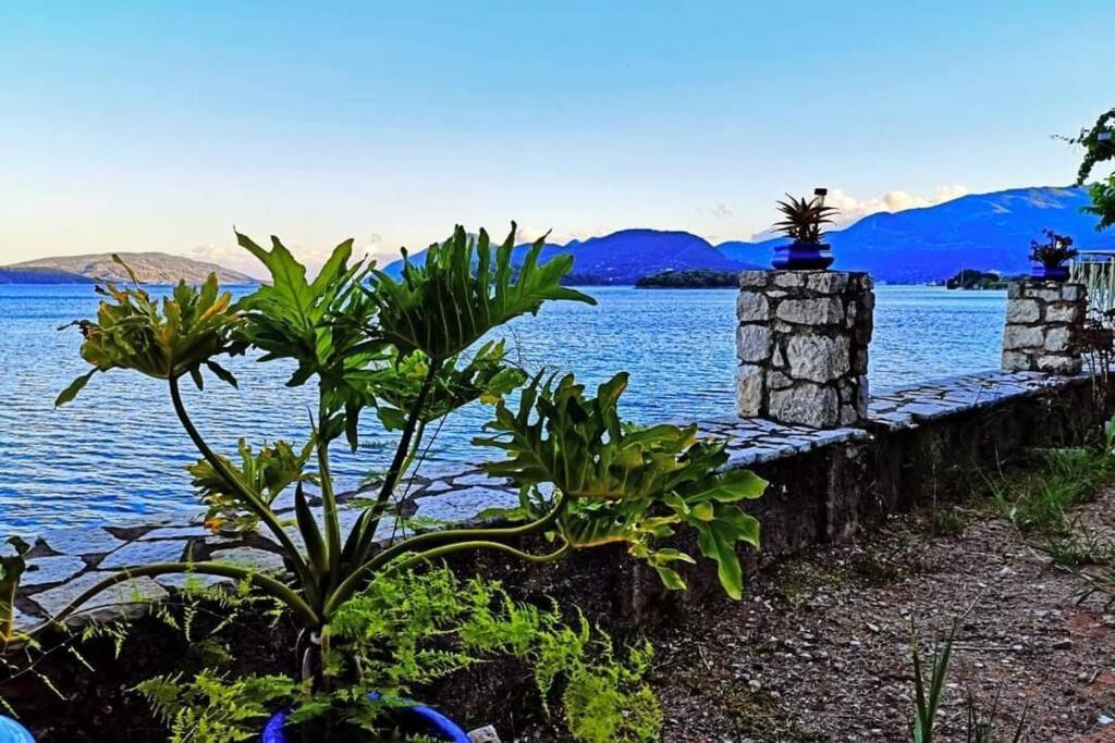 Villa Violeta Lefkada Nydri Nydri (Lefkada) Exterior foto